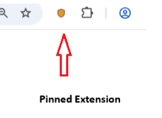 Pinned Extension